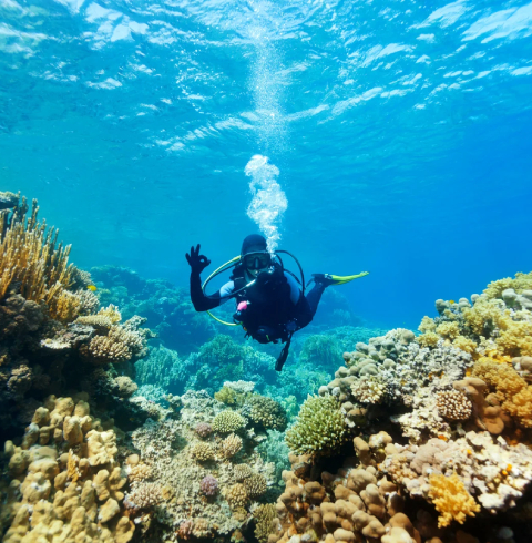 Marsa Alam