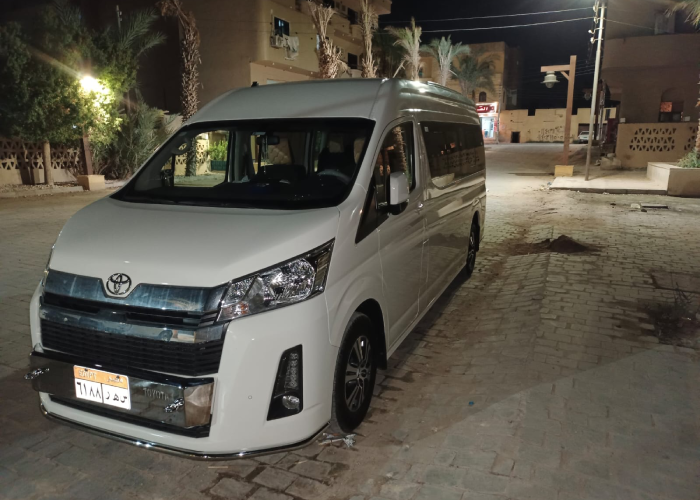 Luxor West Bank to Luxor Airport Transfer